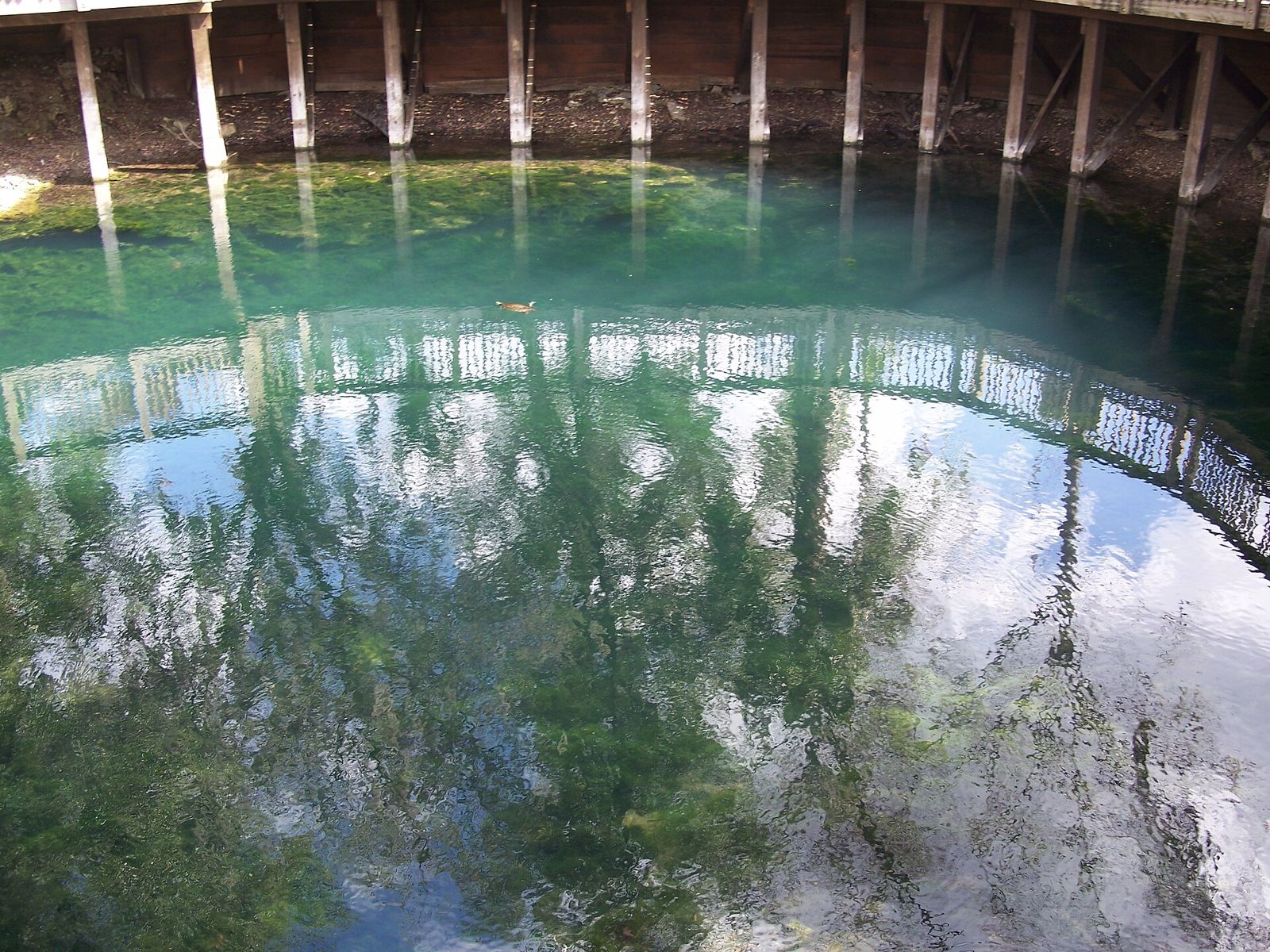 Clear water at Branford Spring, reflecting the wooden deck built around it